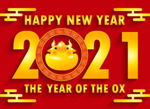  睿至锋轻钢别墅设备厂家_喜迎2021新年，牛气冲天！